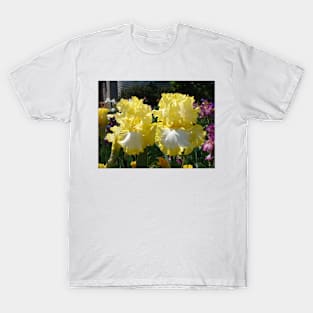 Yellow Bearded Iris Cottage Garden Flowers T-Shirt